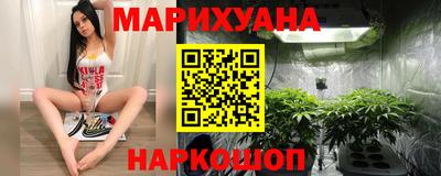 гашик Бузулук