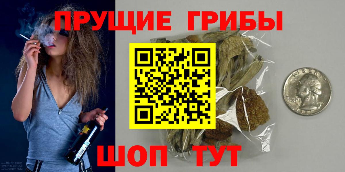 Галлюциногенные грибы GOLDEN TEACHER Чайковский